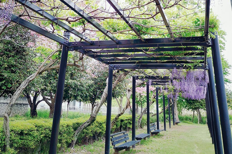 pergola