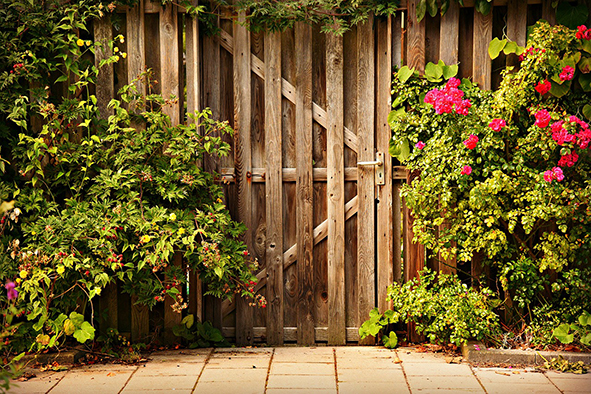 country style garden