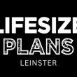 Lifesize Plans Leinster