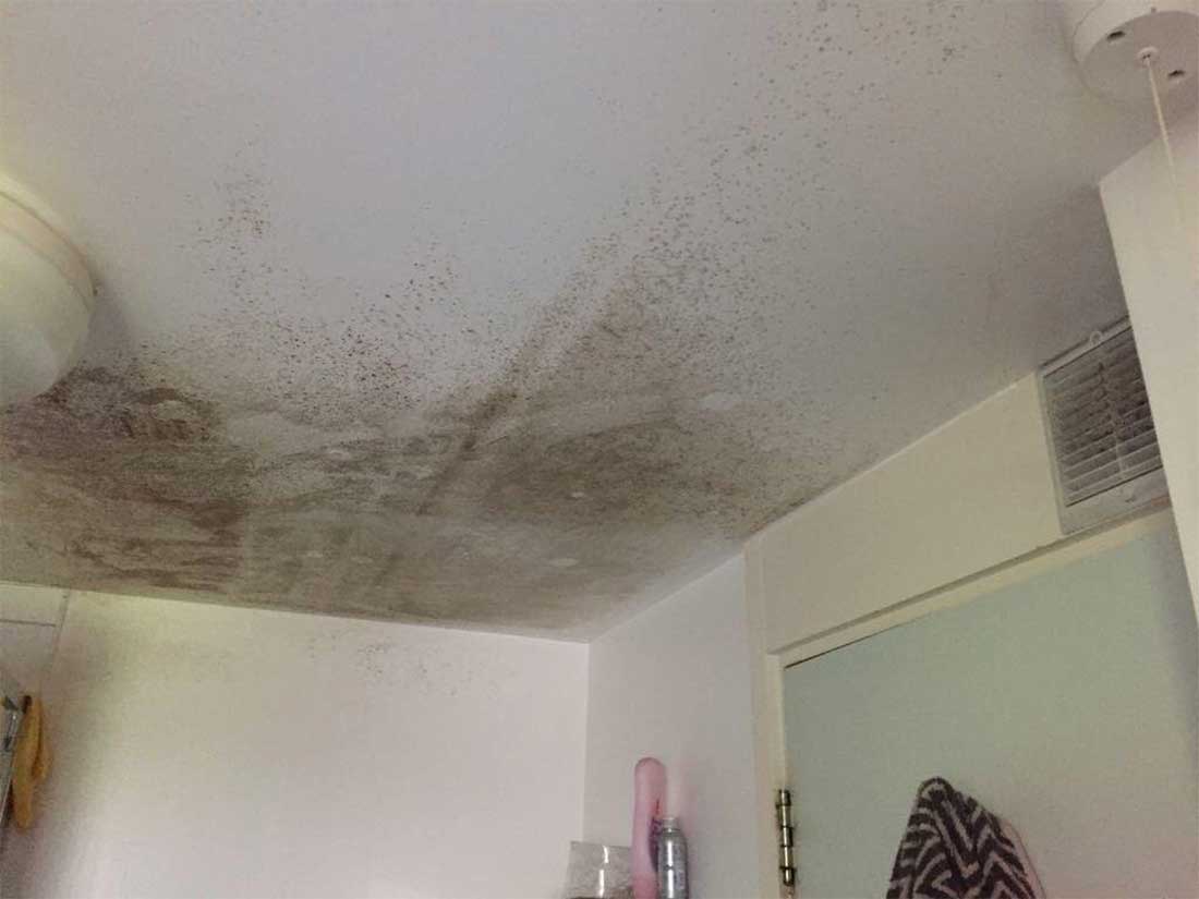 family home on a budget